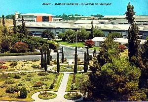 Maison-Blanche - Aeroport d'Alger- Jardin